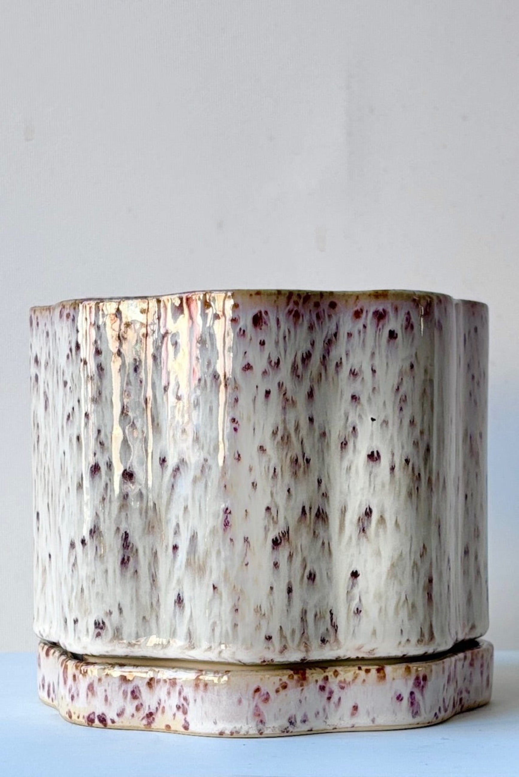 Speckled Avenell ceramic pot with a plant on a white surface ©Sprout Home