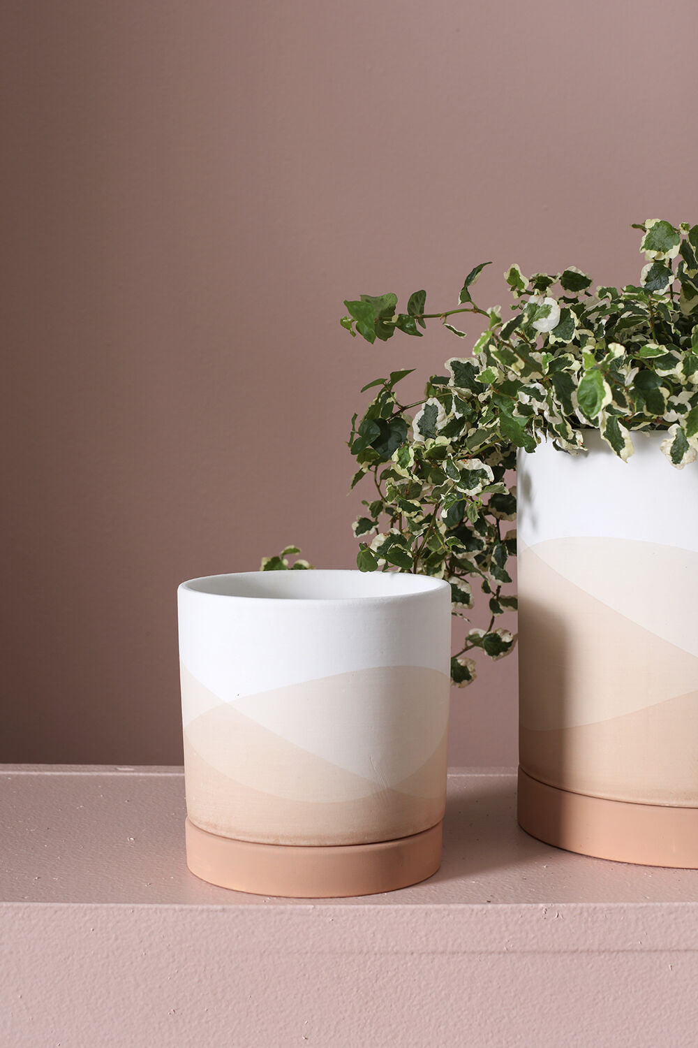 Vesper pots on a pink lilac background with a smaller one unspotted in the center.