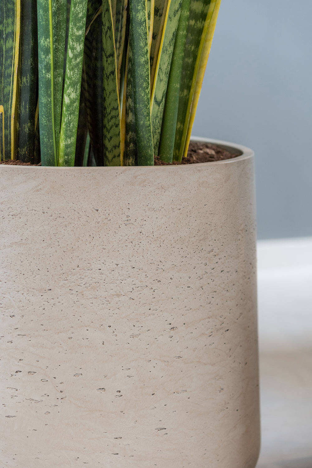 Patt Pot grey washed grey detail up close showing the finish by Pottery Pots