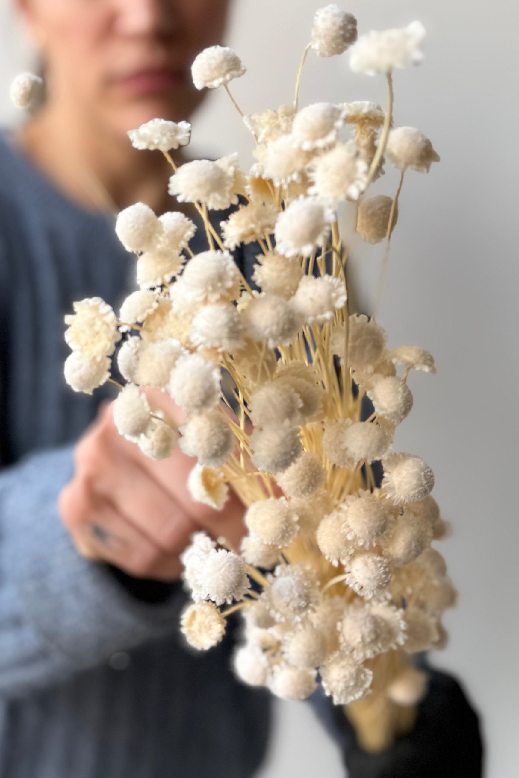 Person holding a Margaret Bleached Pastel Preserved Bunch flowers against a neutral background ©Sprout Home