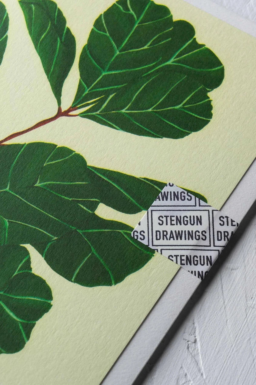 Lyrata greeting card by Stengun Drawings detail shot of the upper right corner showing the dark green ficus leaves.