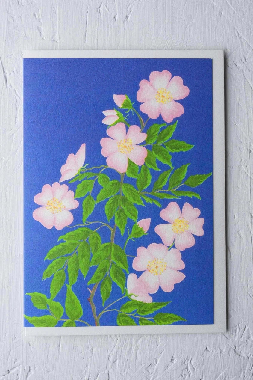Dog rose greeting card by Stengun Drawings viewed from front on a white wall.