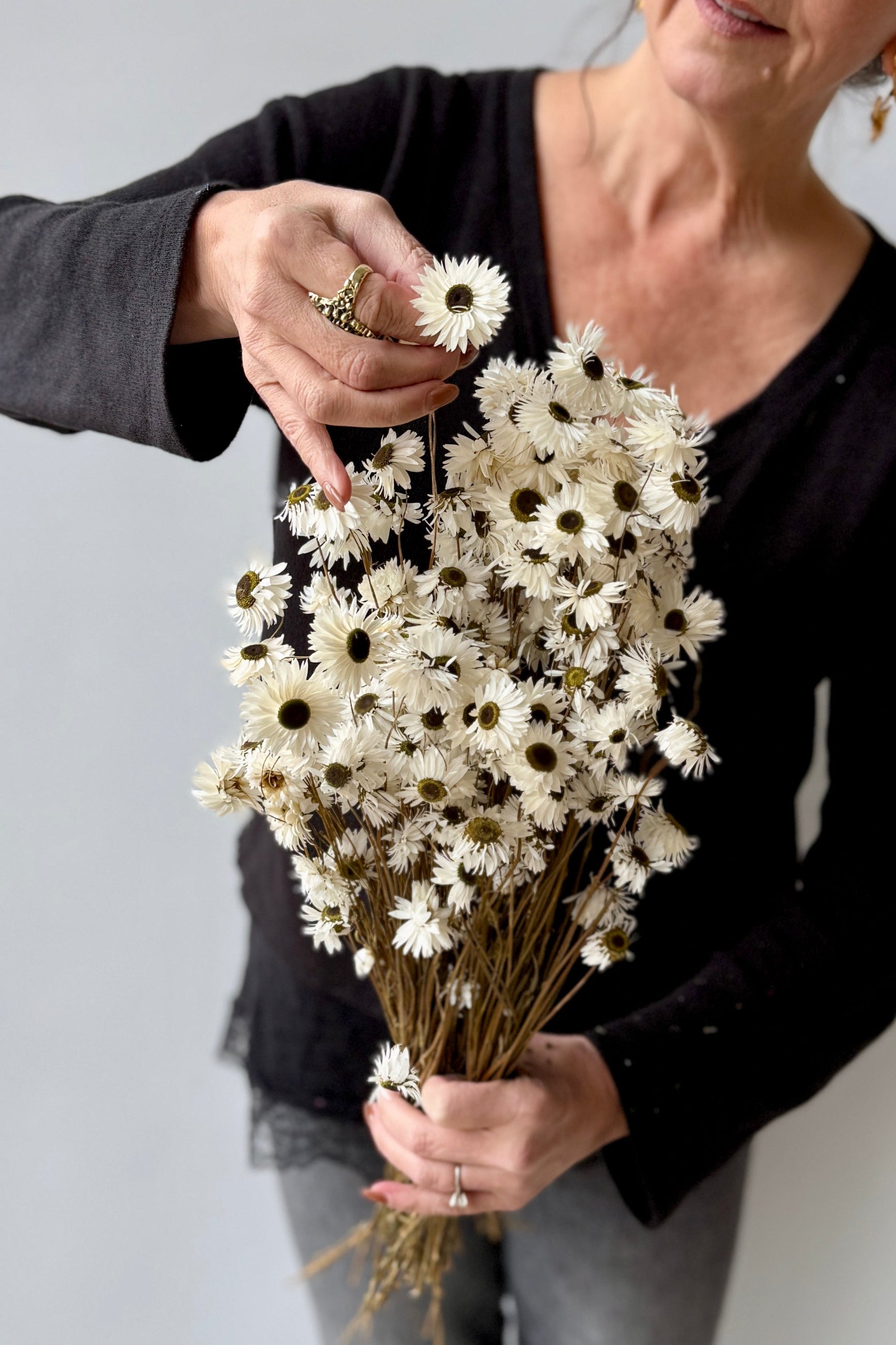 Person holding a bouquet of white preserved Acrolinium flowers against a plain background ©Sprout Home