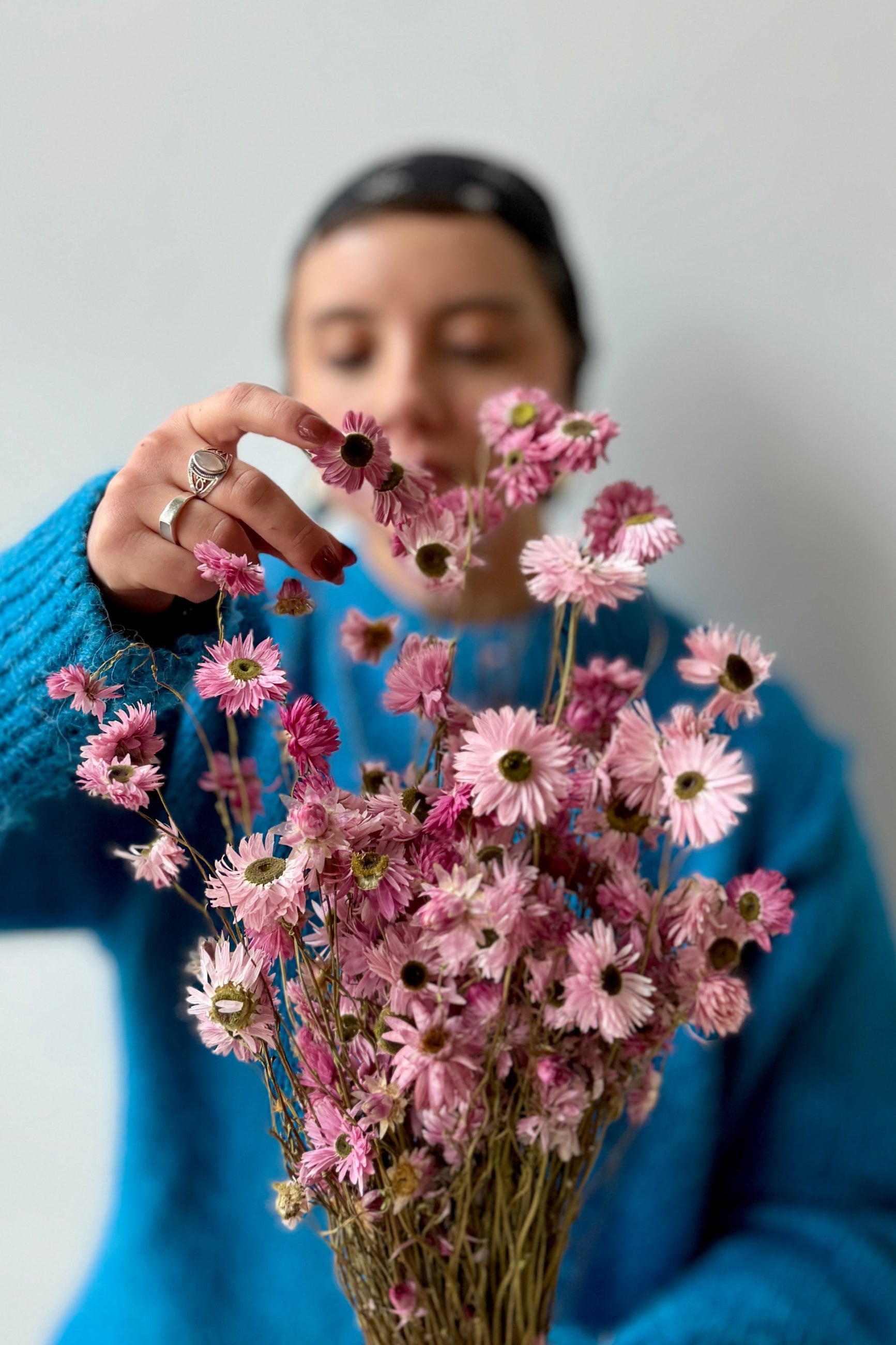 Person holding a bouquet of pink preserved and dyed Acroclinium flowers against a plain background ©Sprout Home