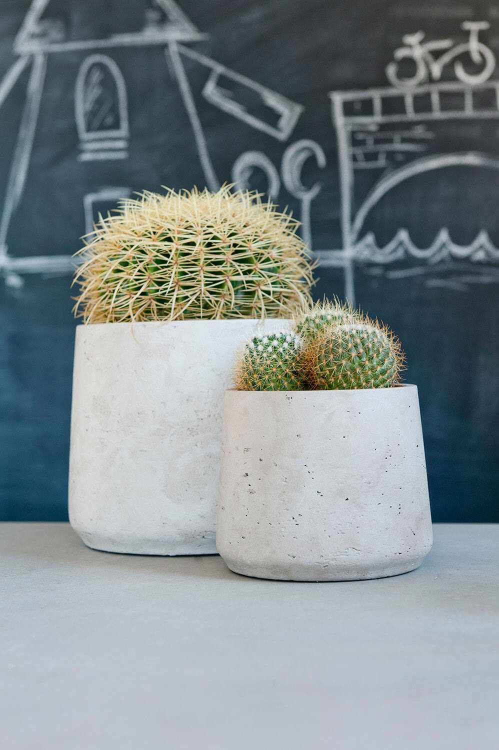 Two different sizes of Pottery Pots Patt grey washed pots with cactus inside in front of a chalkboard.