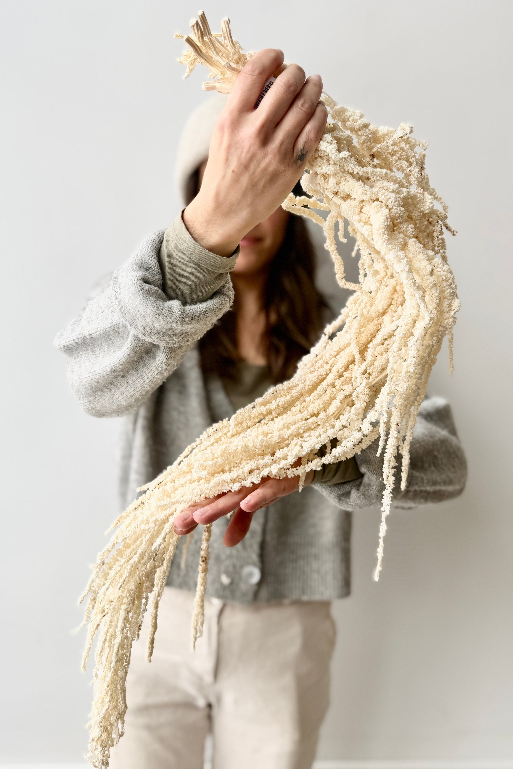 Person holding a textured bleached Amaranth's against a plain background ©Sprout Home