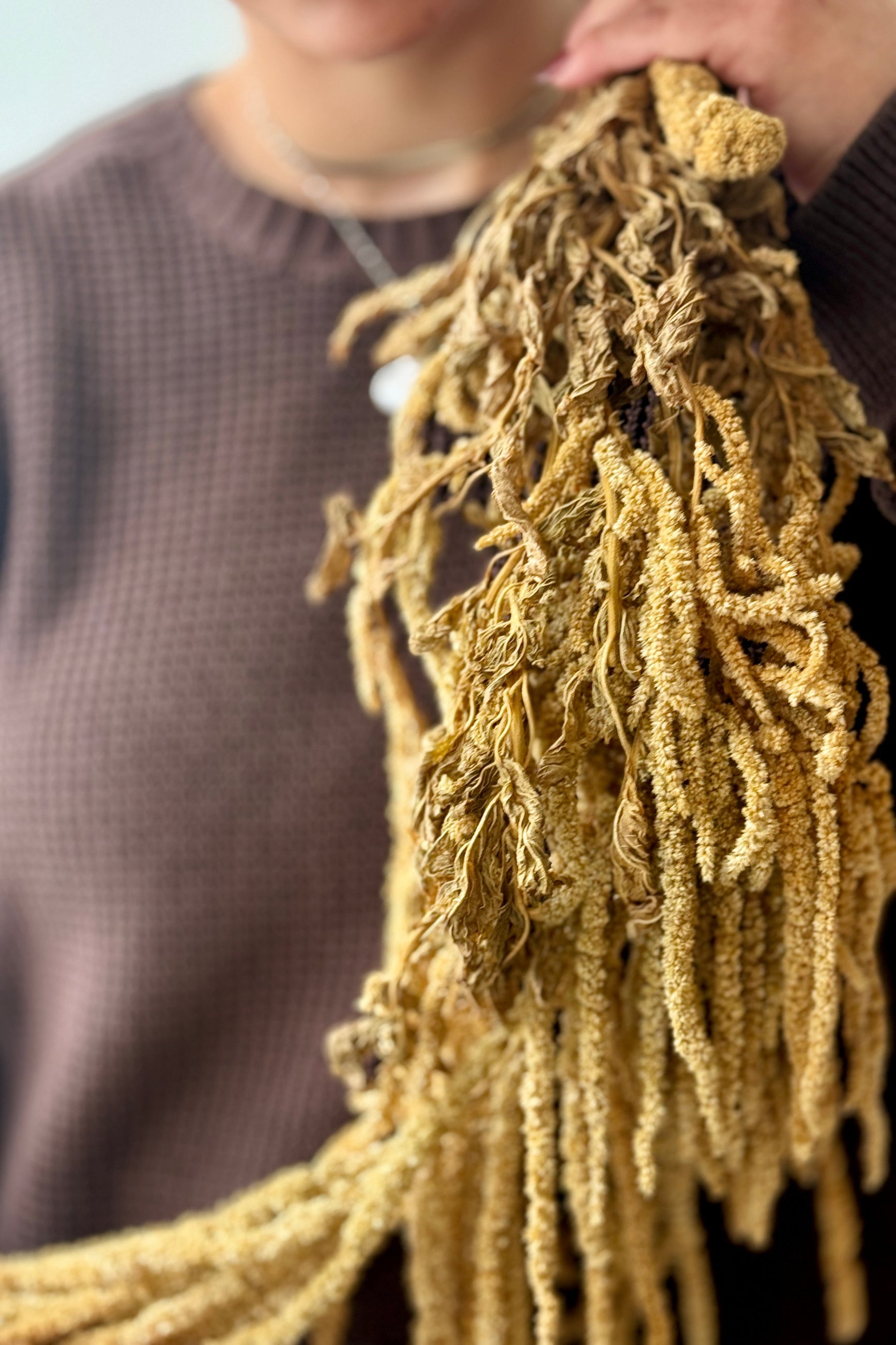 Person holding a bundle natural preserved Amaranthus against a blurred background. ©Sprout Home