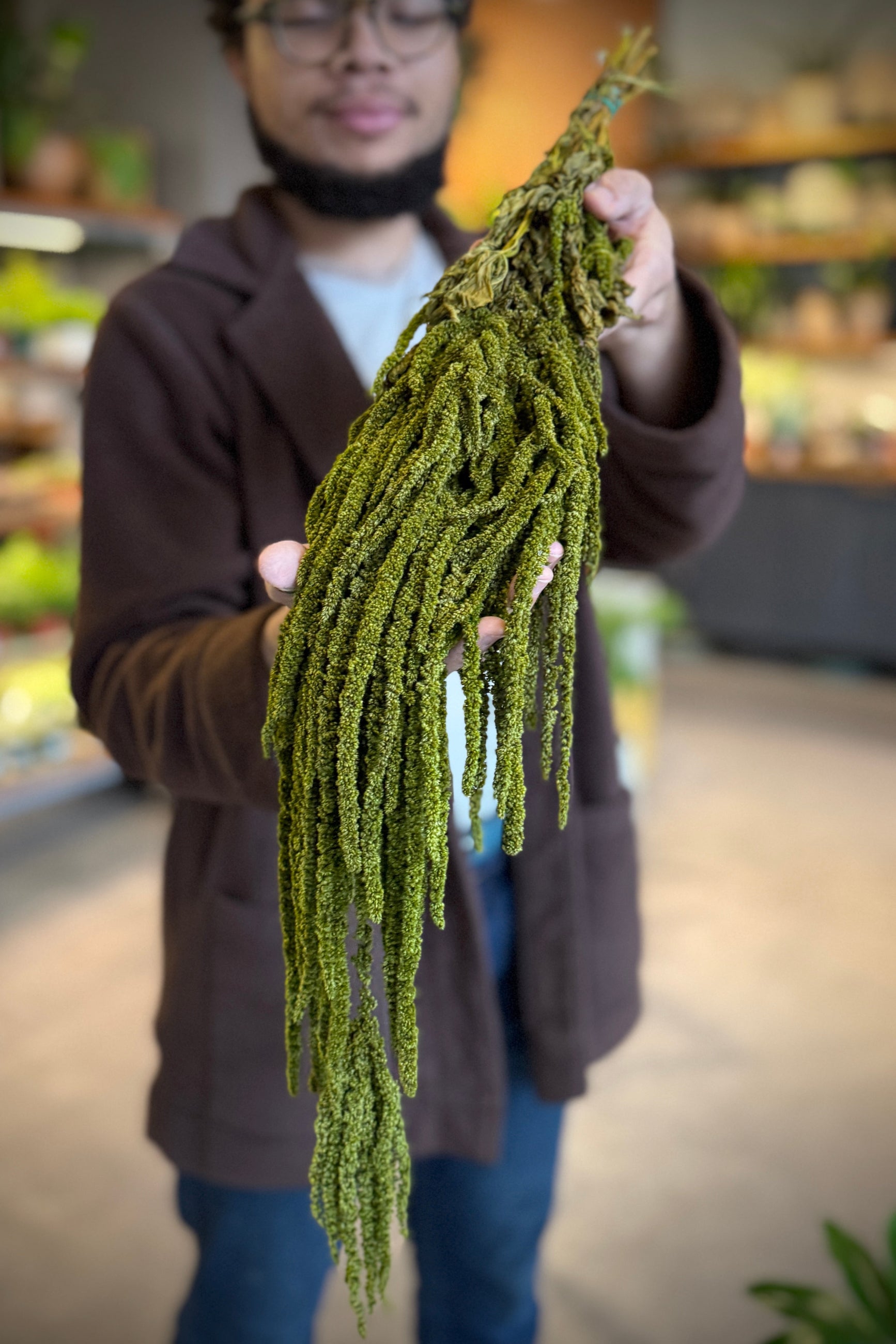 Sprout Home staff member holding a large green preserved and dyed light green amaranthus in an indoor setting ©Sprout Home