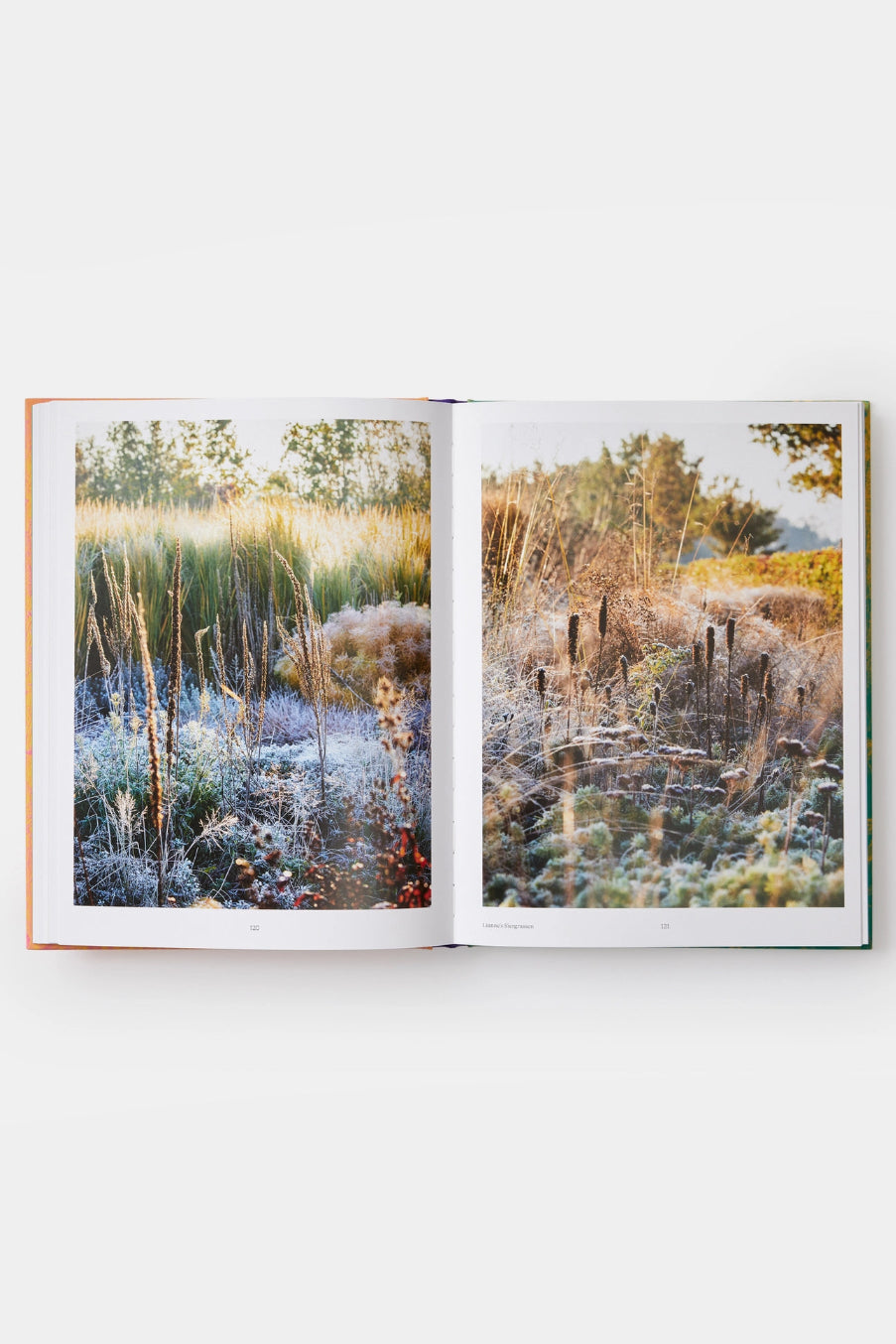 Open Wild: the Naturalistic Garden book showing a landscape with trees and grass on a white background ©Phaidon