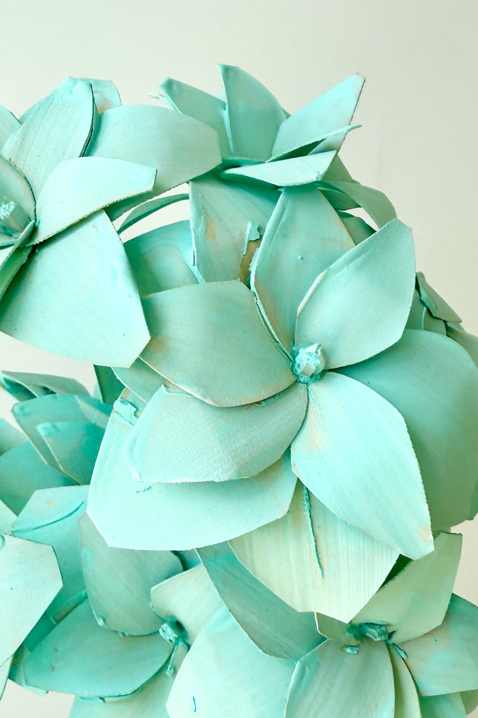 Mint Tari bunch being held in hand against a white wall ©Sprout Home