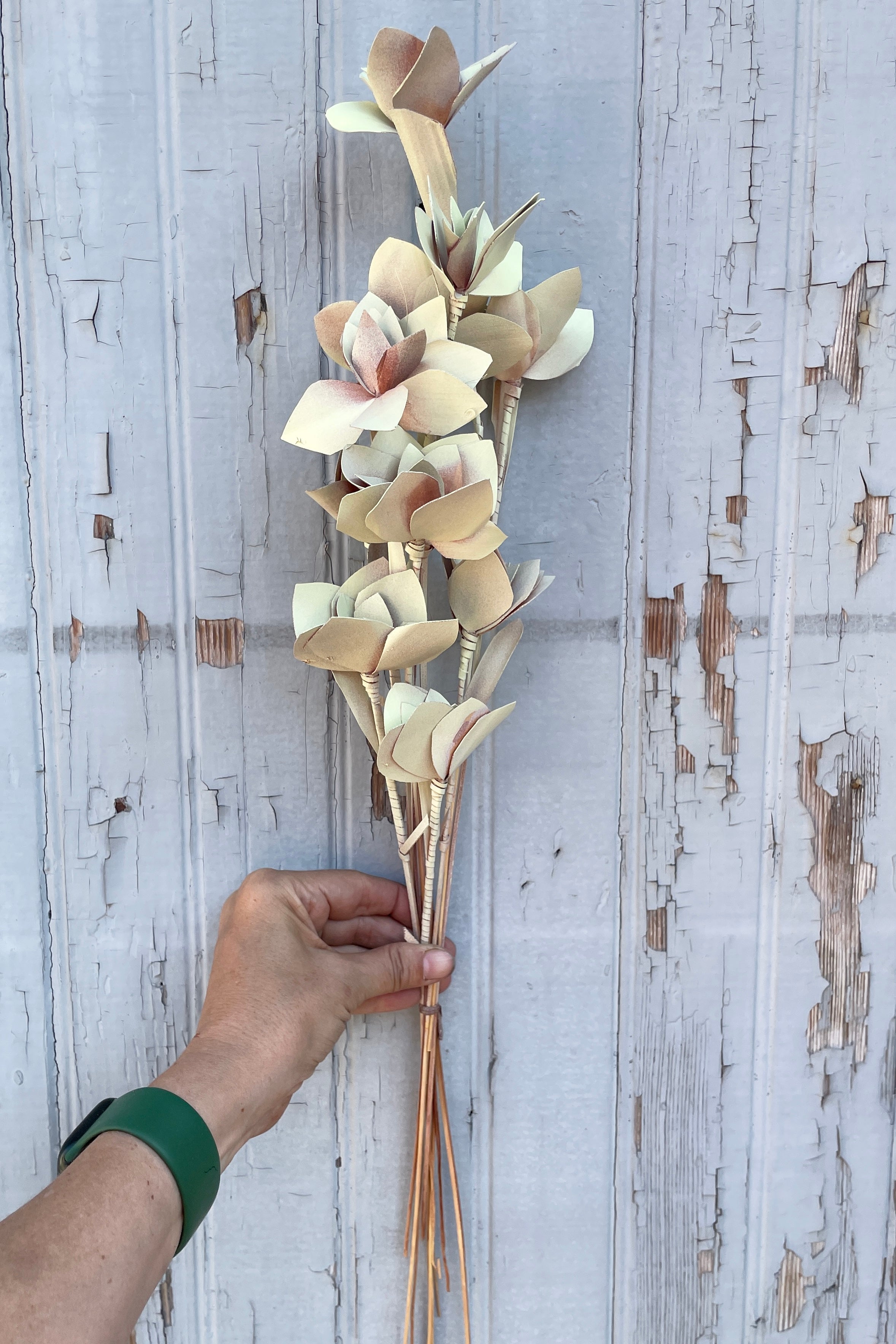 Tari mint pastel preserved bunch being held against a grey wood wall.