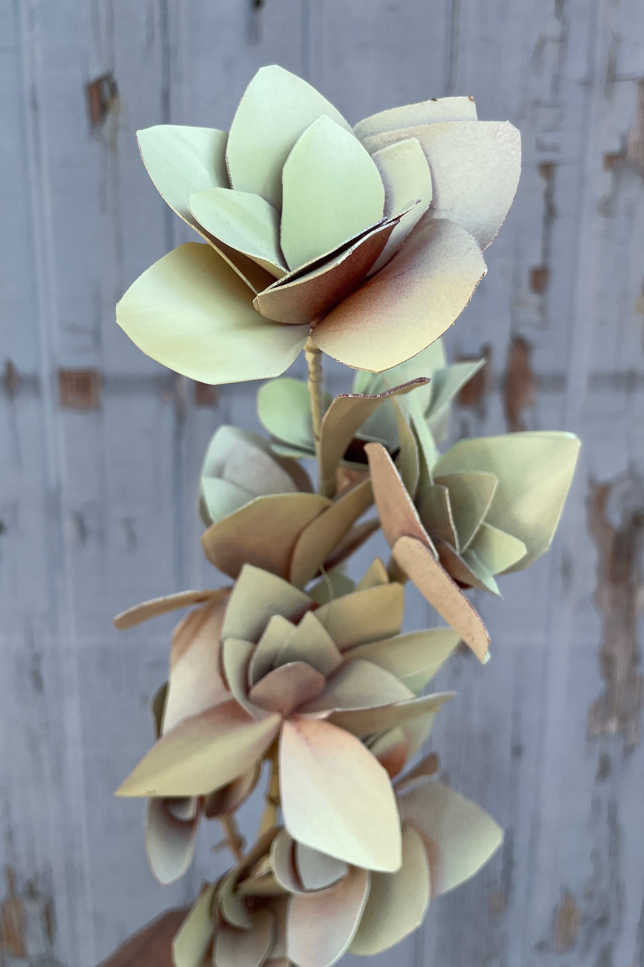Mint pastel preserved Tari flowers at Sprout Home.