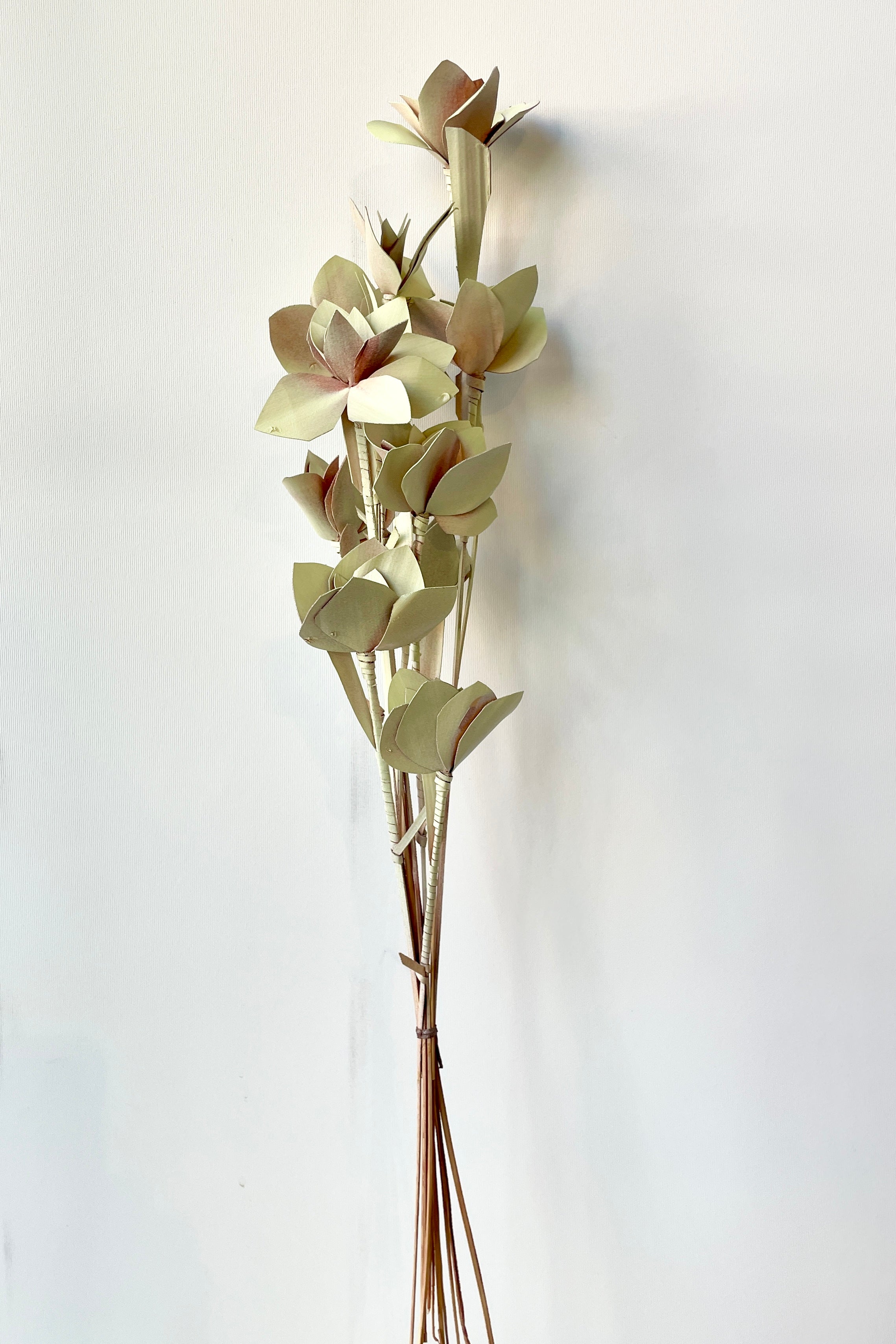 A bunch of Tari mint pastel preserved flowers at Sprout Home against a white wall.
