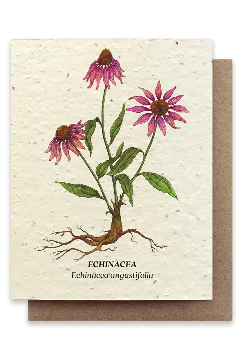 Echinacea seeded card showing the front of the card.