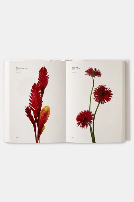 An open Flower Color Guide displaying botanical illustrations of red flowers on both pages against a clean white background. ©Phaidon