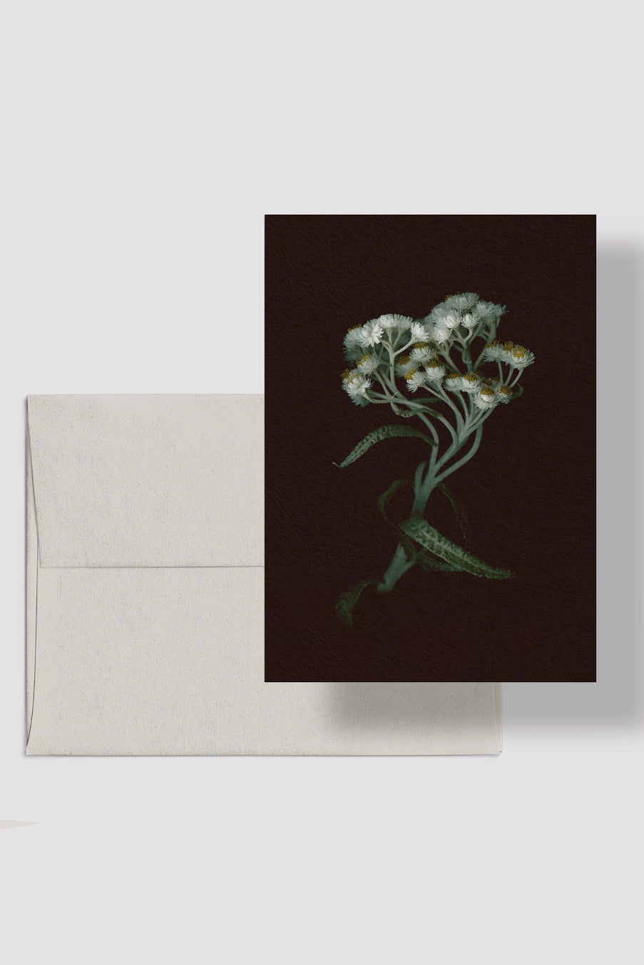 Greeting card with floral design on a dark background, paired with a beige envelope. ©Raoul & Simone