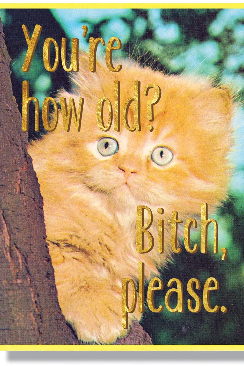 You're how old? Bitch please card by Smitten Kitten showing the front of the card.