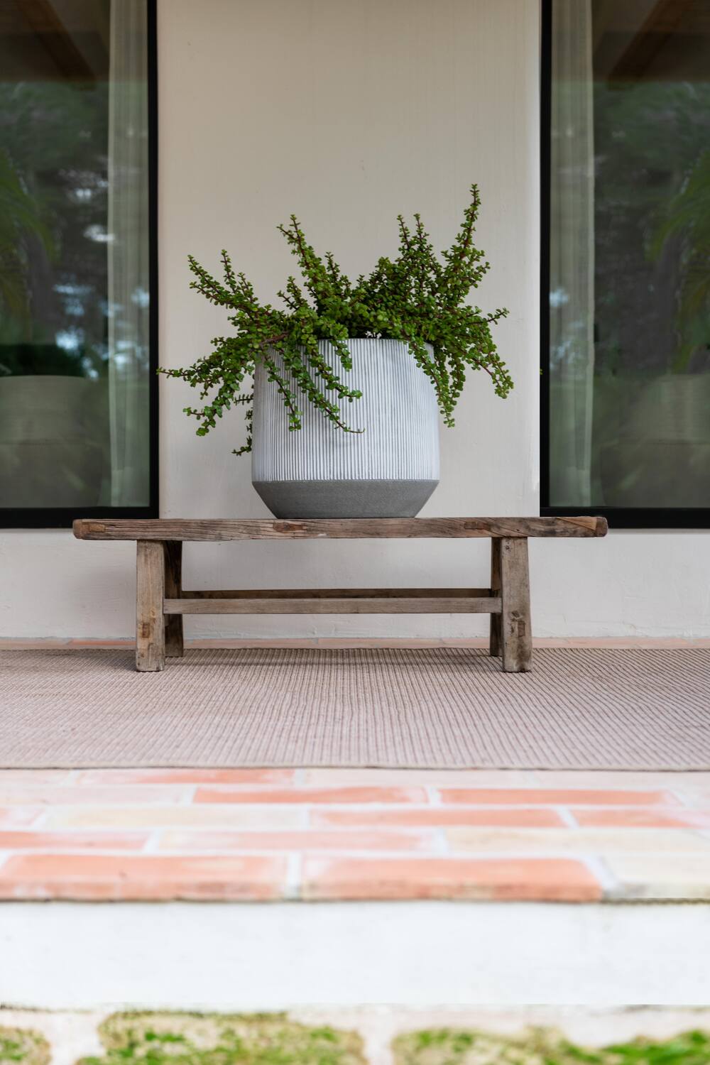 Pottery Pots White Hearth Pot with stripes potted with a plant and sitting on a wooden bench in an outdoor lifestyle shot.