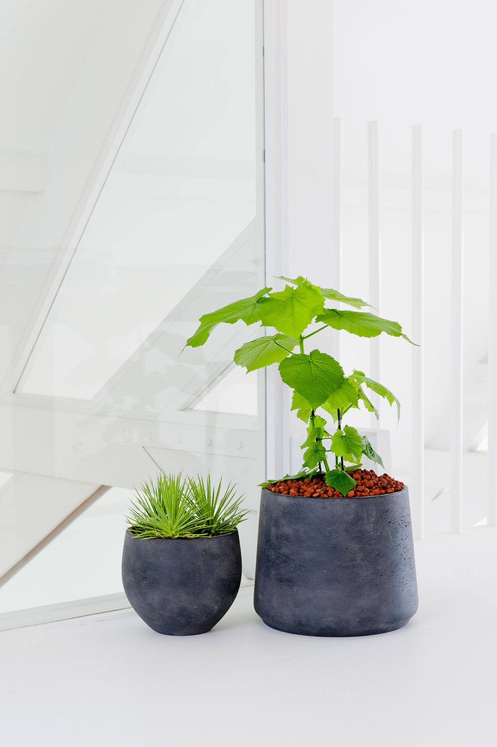 Pottery Pots Black Washed Patt Pot with a plant inside and sitting next to a short Mini Orb planter in a w white room.