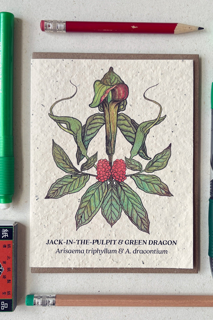 Jack in the Pulpit seeded at showing the front of the card surrounded by writing instruments