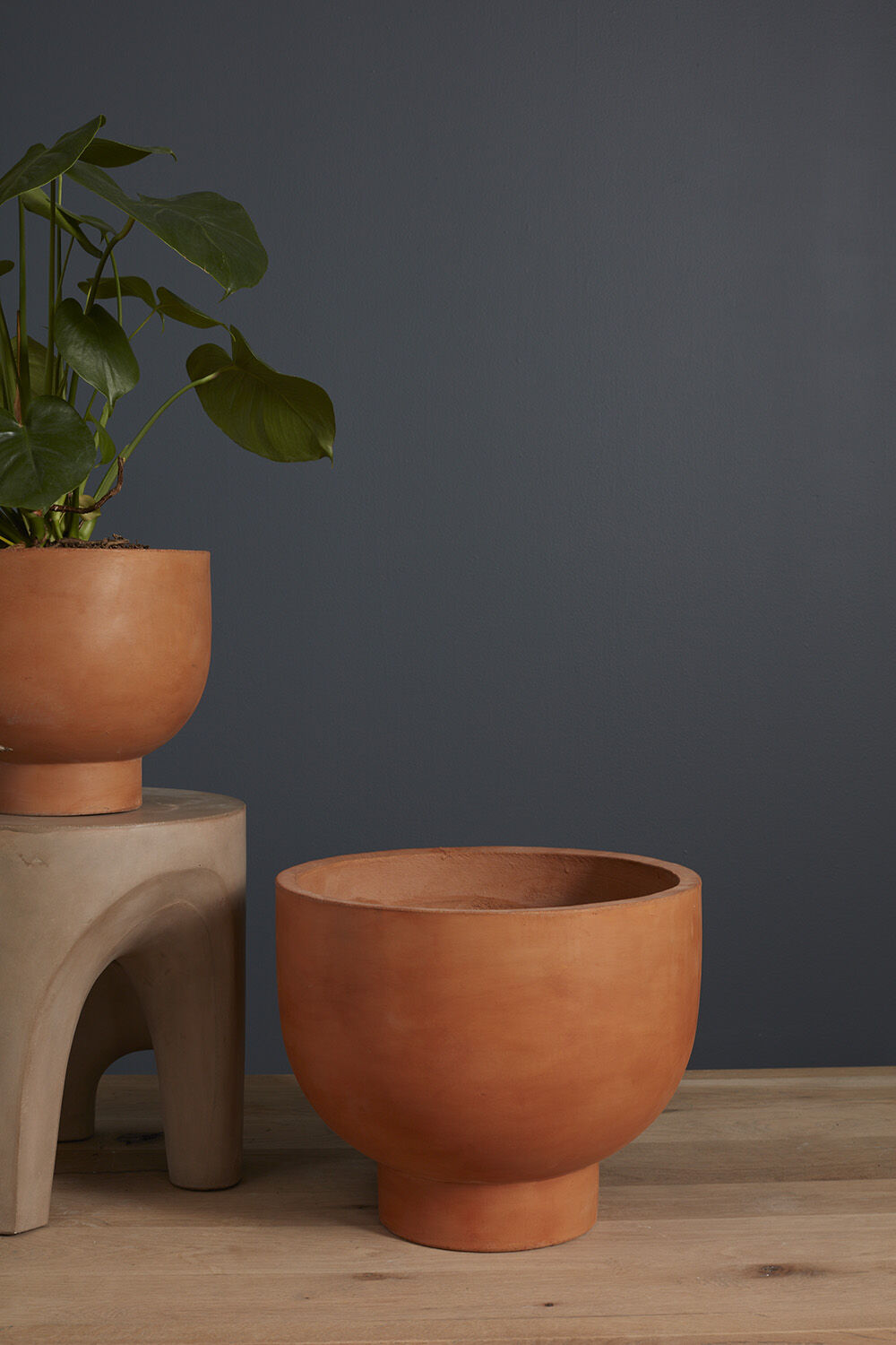 Newport Compote Pot by Accent Decor. Empty and sitting on a wood floor. ©Accent Decor