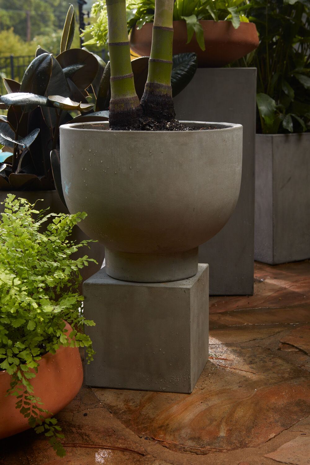 Newport Compote Grey with a potted plant by Accent Decor. ©Accent Decor