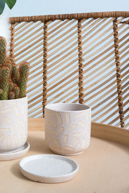 Cactus in a Sundae pot and an empty Sundae Pot with its saucer on the side, on a wooden table with books and a cup. ©Accent Decor
