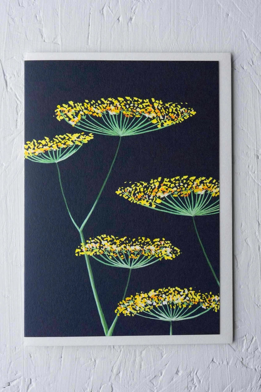 Fennel on Navy card by Stengun Drawings on a white backdrop showing the yellow vibrant yellow flowers on dark navy.