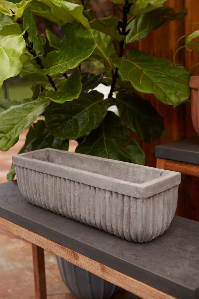 Tyndall Planter Small Gray sitting on a side table with a ficus fiddle leaf behind it. ©Accent Decor