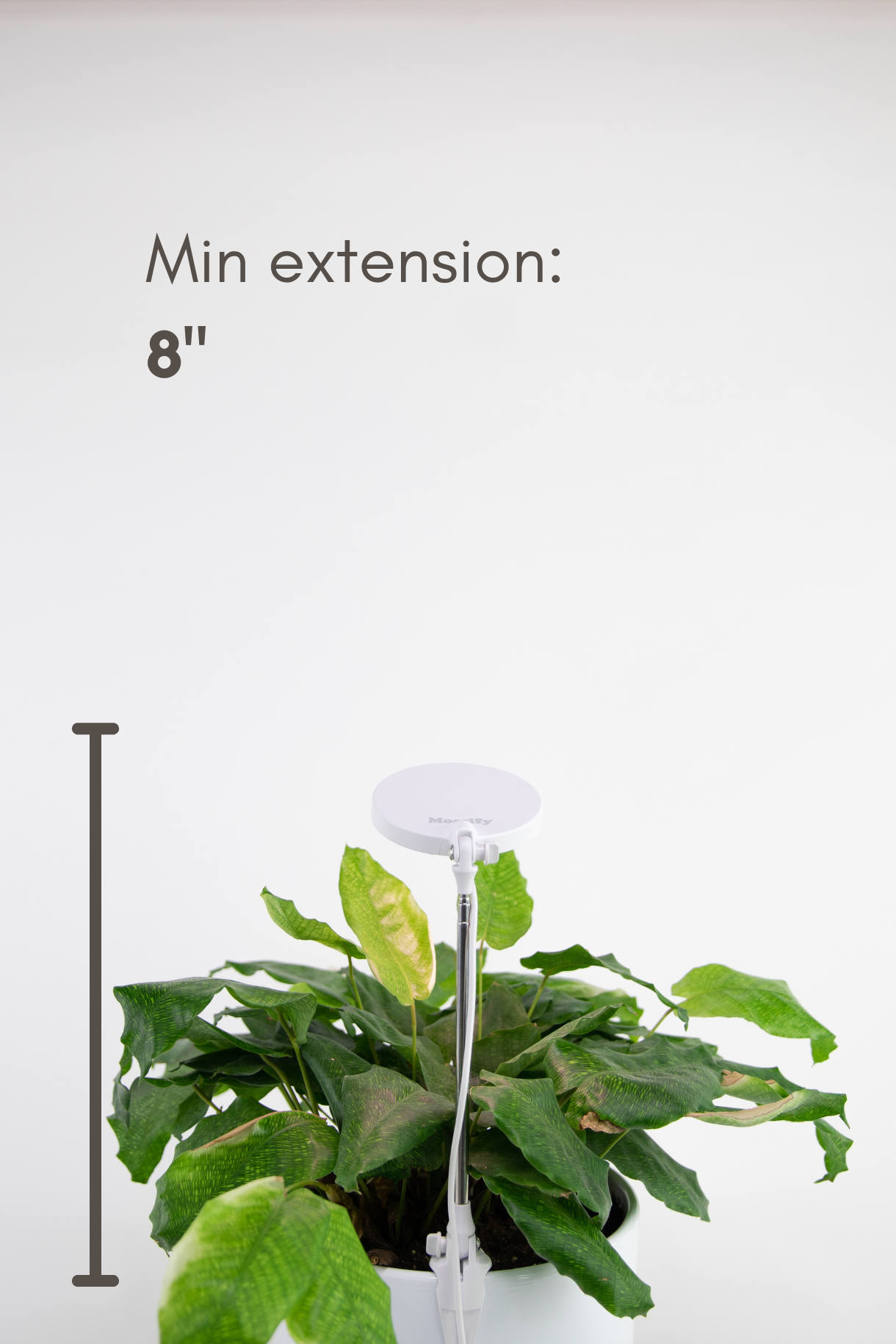 illustration of the lowest height of the adjustable plant light.