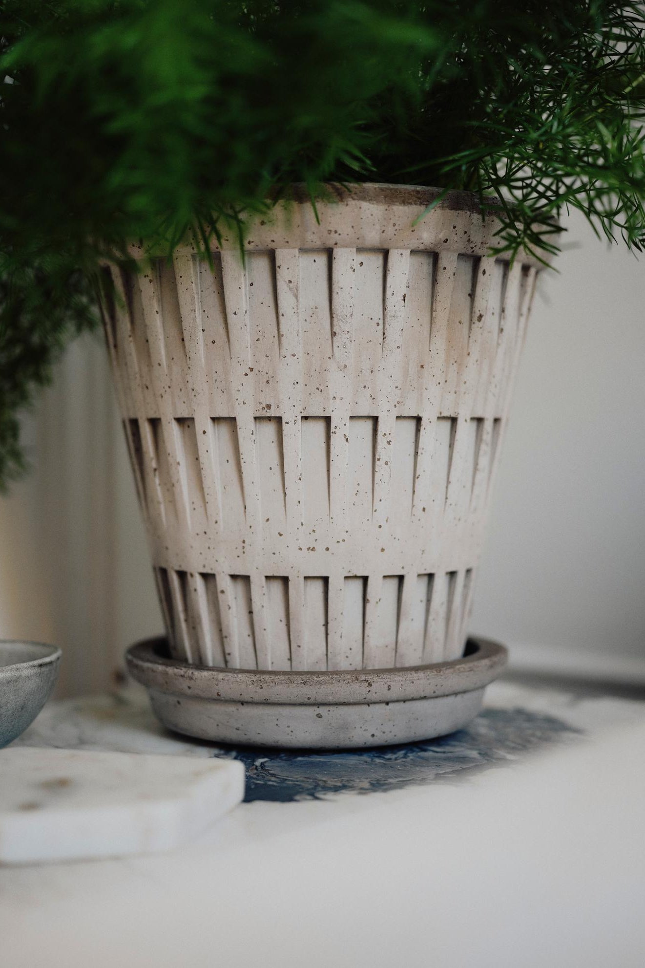 Decorative gray Pantheon pot with a plant on a marble surface ©Bergs Potter