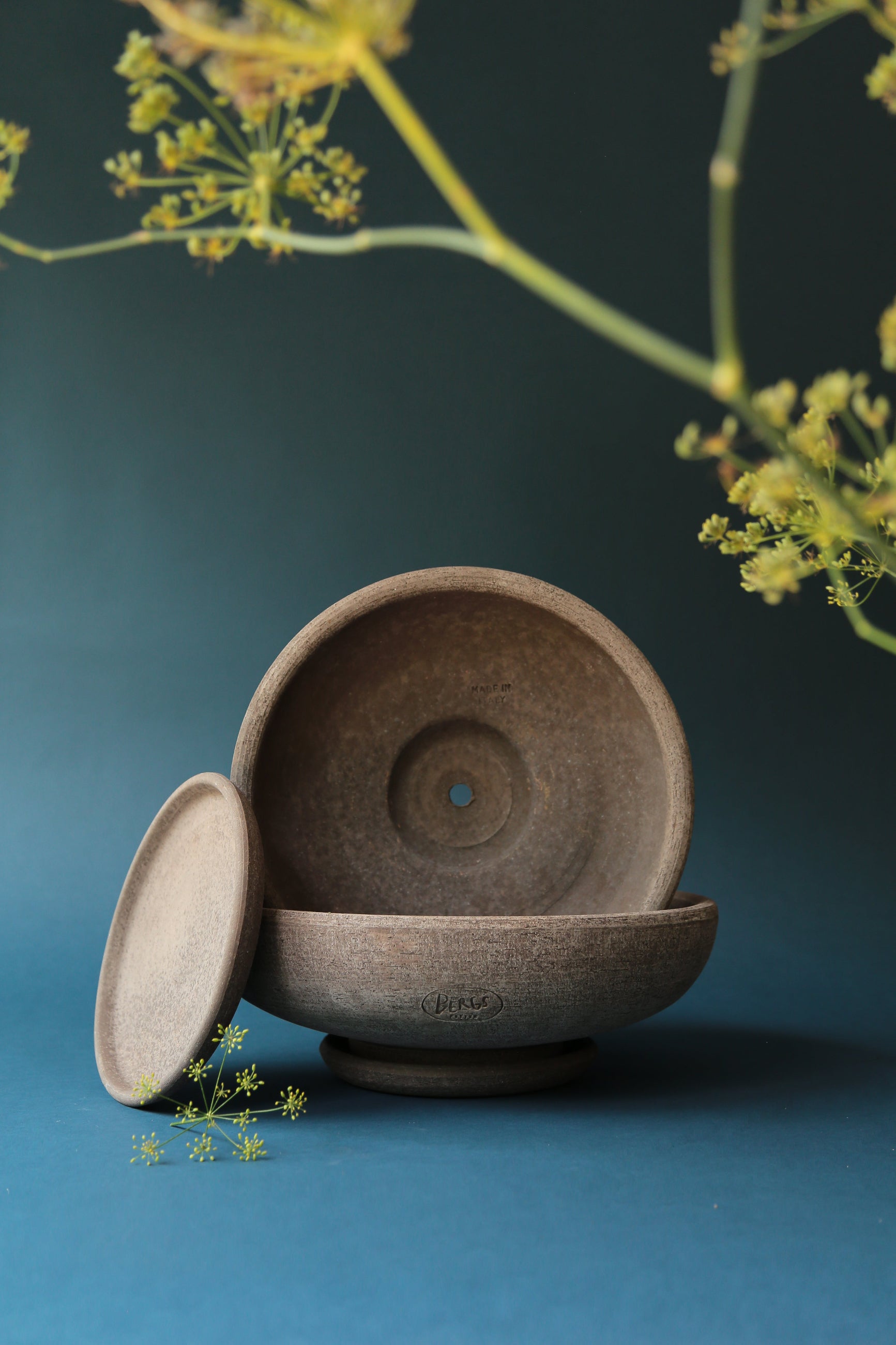 Two raw Ada bowls and saucers by Bergs Potter and a dill plant in the foreground. ©Bergs Potter