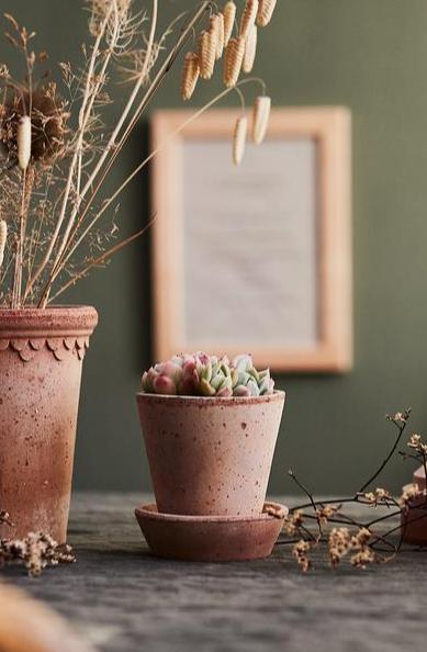 A Rosa Julie Bergs Potter Pot with succulents planted inside on a desk with a framed print in the background.