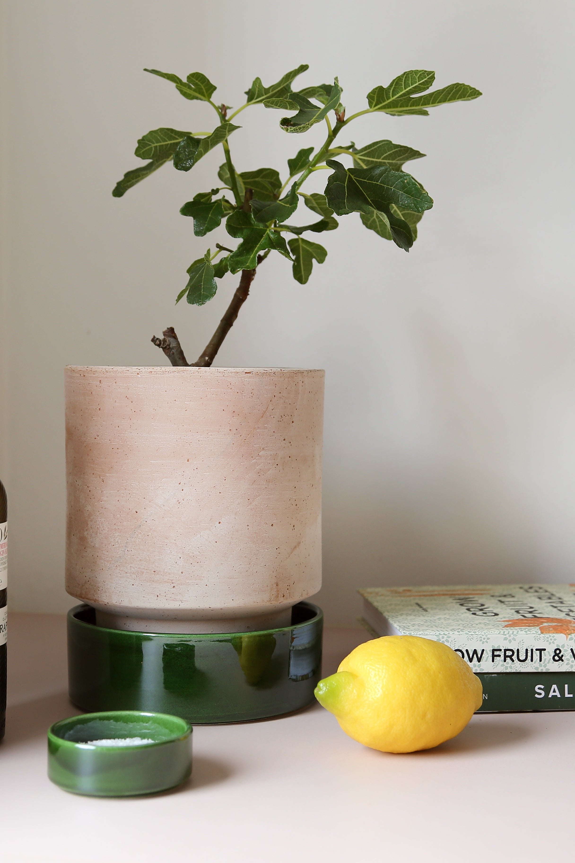 Rosa and Emerald Hoff Pot by Bergs Potter in a lifestyle shot with a potted plant books and a lemon