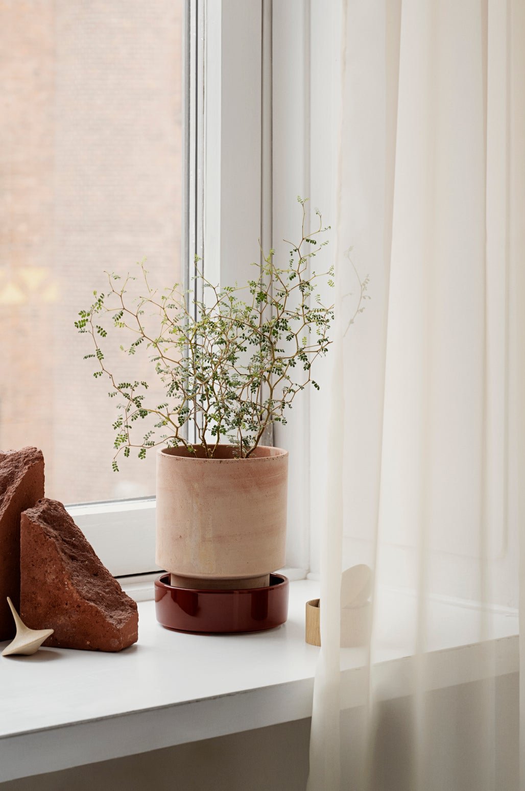 A Hoff raw terracotta Hoff Pot with a deep burgundy saucer by Bergs Potter ©Bergs Potter