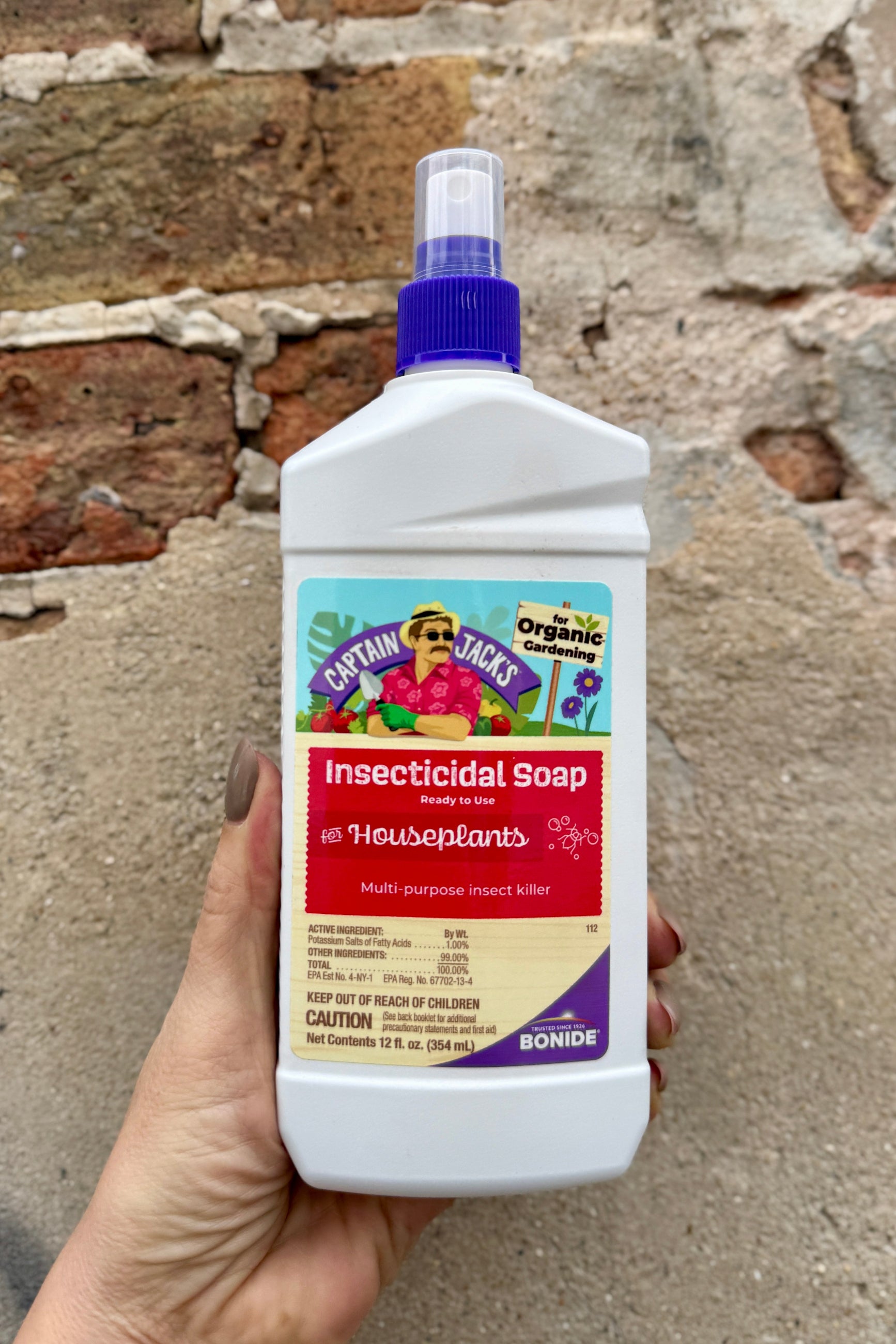 Hand holding a bottle of Captain Jack's Insecticidal Soap with a colorful label against a stone wall background. ©Sprout Home
