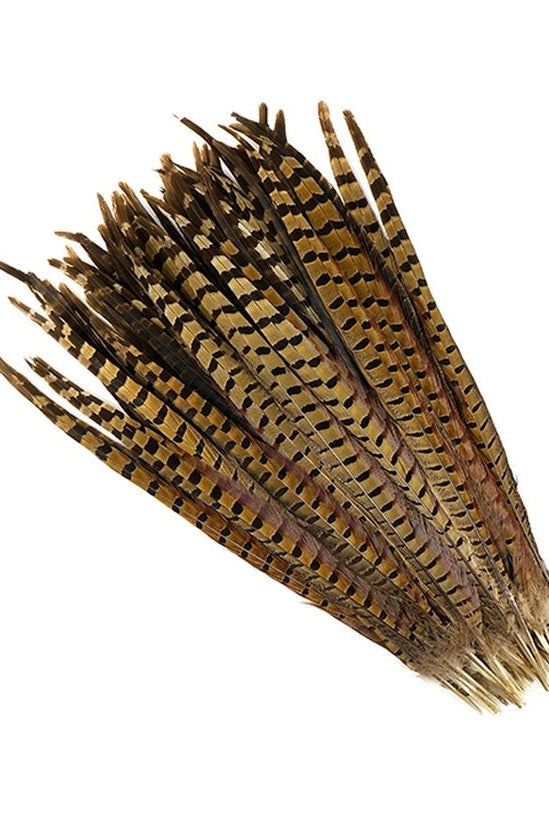 A group of pheasant feathers arranged on a white background ©Zucker Feather Products