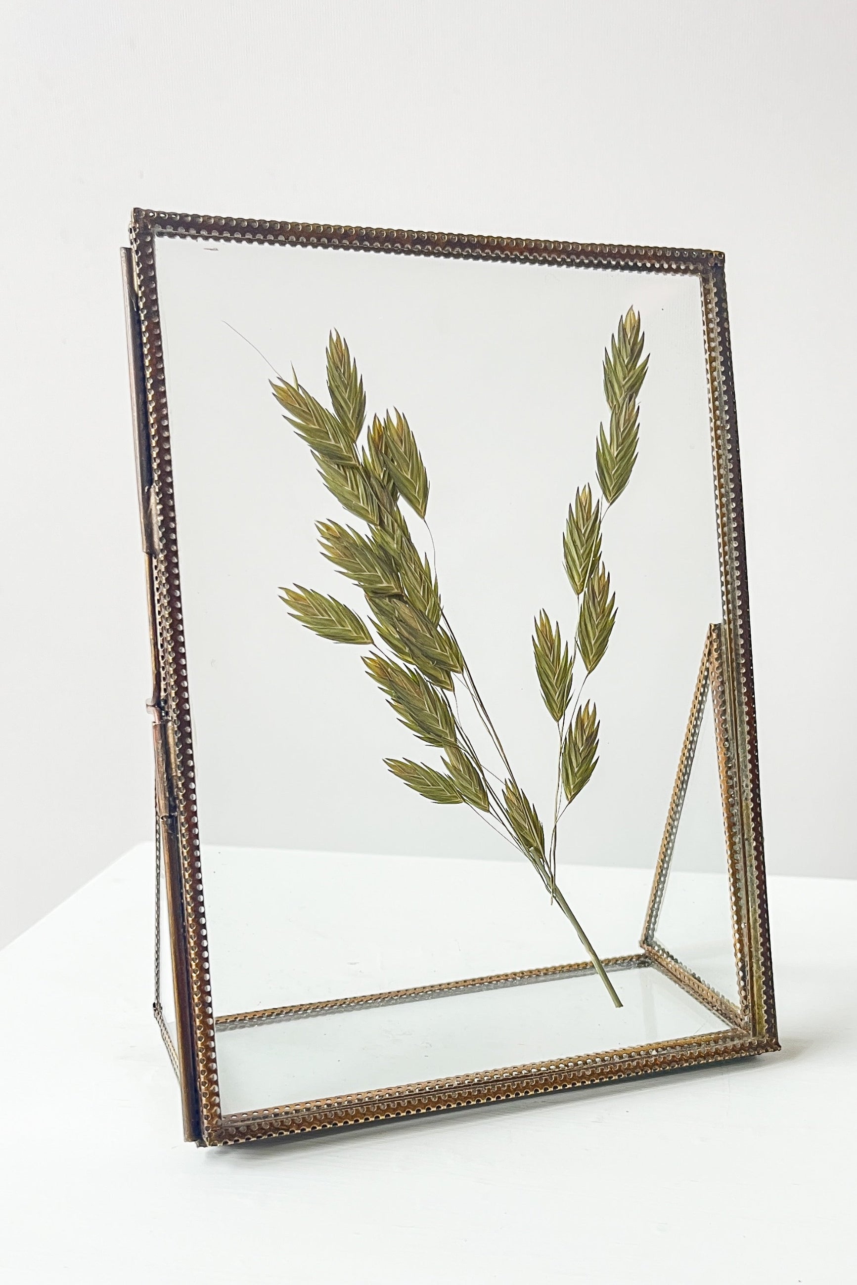 Decorative glass frame with pressed greenery on a white background ©Sprout Home