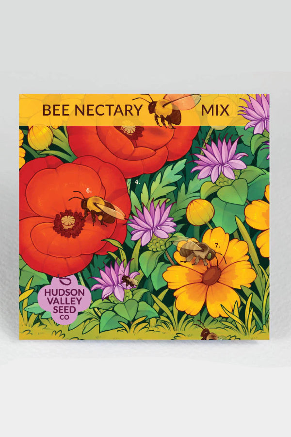 Seed packet for 'Bee Nectary Mix' with illustrations of bees and flowers, featuring Hudson Valley Seed Co. ©Hudson Valley Seed Co.