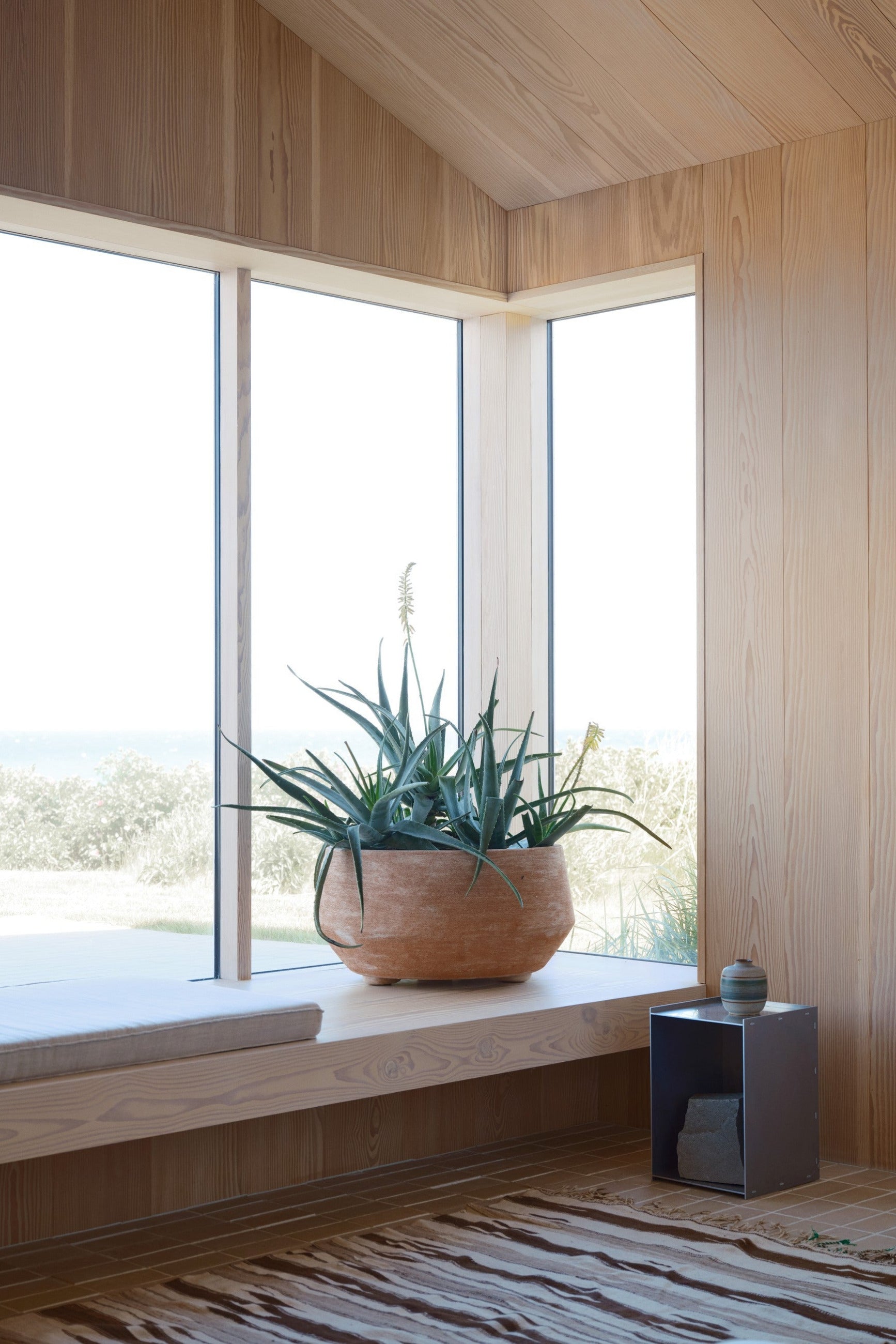 Potted plant in a Doma Rosa planter on a windowsill with wooden walls and floor ©Bergs Potter