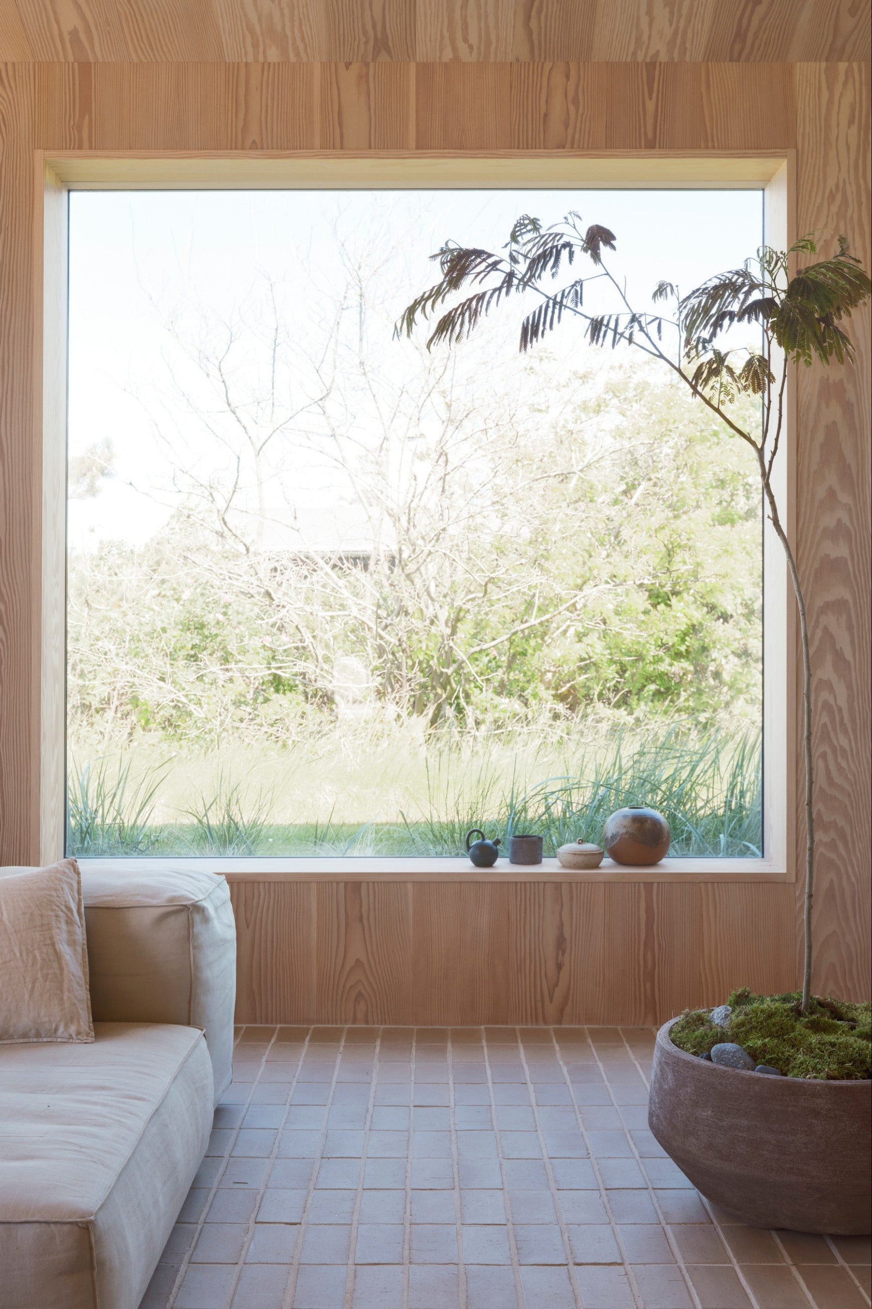 Modern interior with a large window, wooden walls, a tree planted in a Bergs Doma Grey planter and a beige sofa. ©Bergs Potter