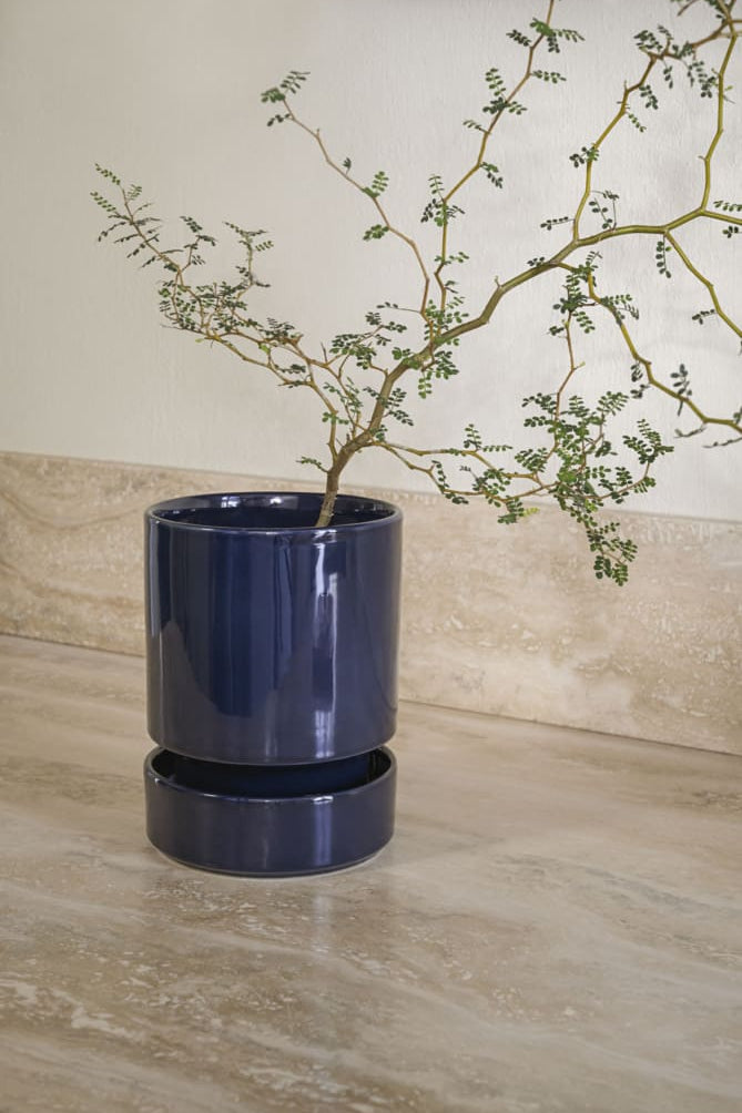 potted plant with small leaves in blue ceramic on a tablel with a neutral background ©Bergs Potter