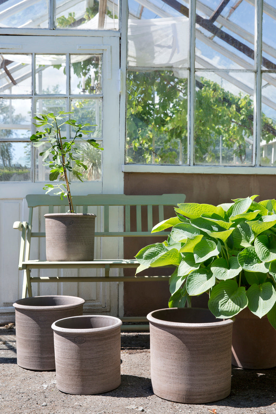Potted plants in grey Modena pots in a greenhouse setting with large windows. ©Bergs Potter