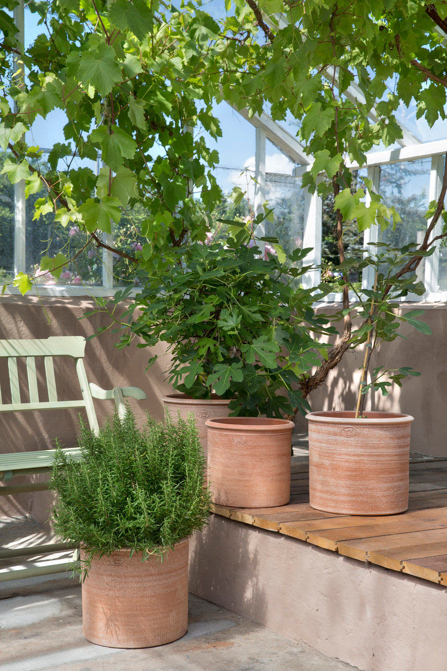 Potted plants in Rosa Modena Planters on a wooden deck with a view of a building. ©Bergs Potter