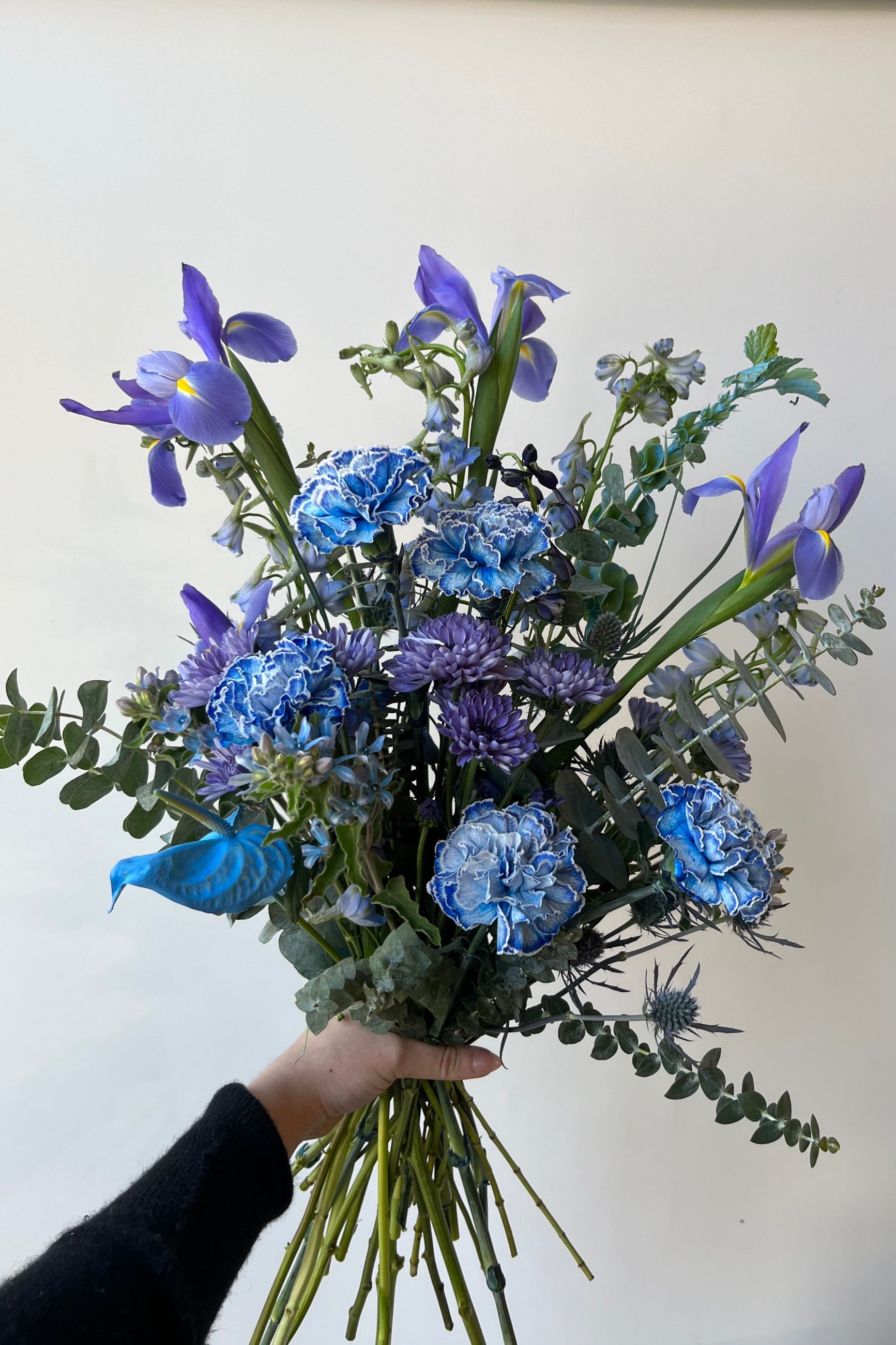 BlueValentine arrangement being held in hand with blue anthurium and iris ©Sprout Home #size_$160