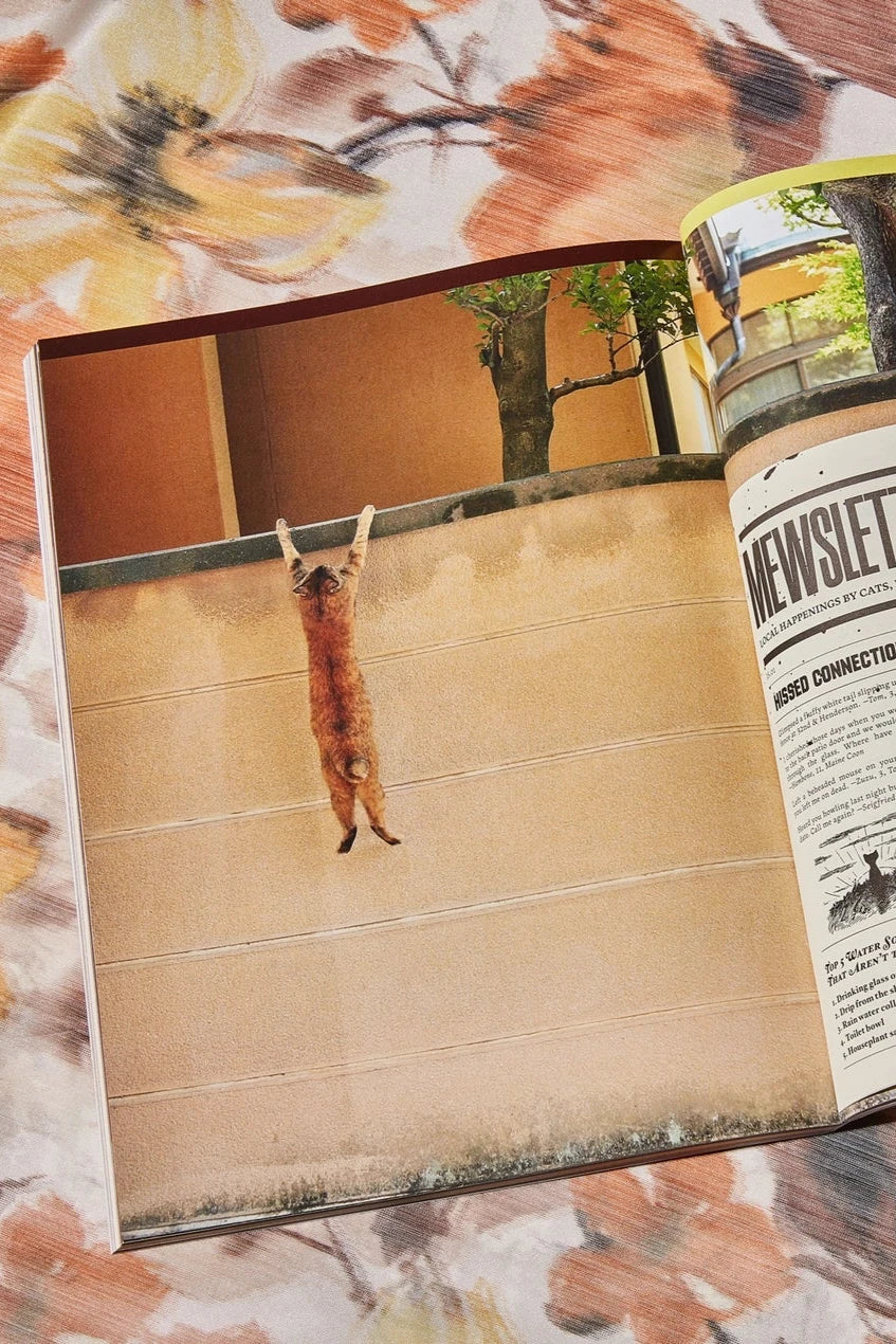 Catnip Magazine showing a page of the interior with a cat hanging from a ledge by Broccoli.