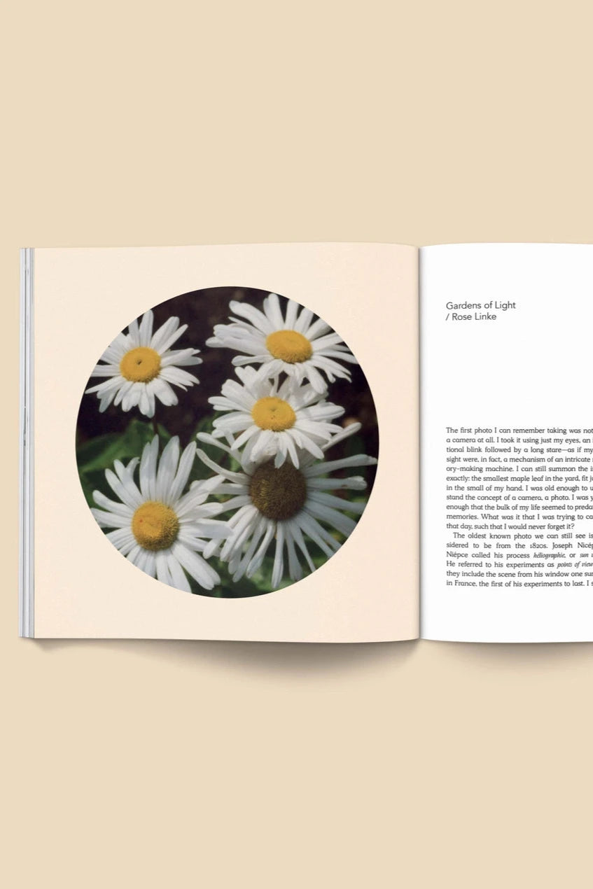 Forgotten Flowers Coffee Table Book by Broccoli open to a page with white daisies