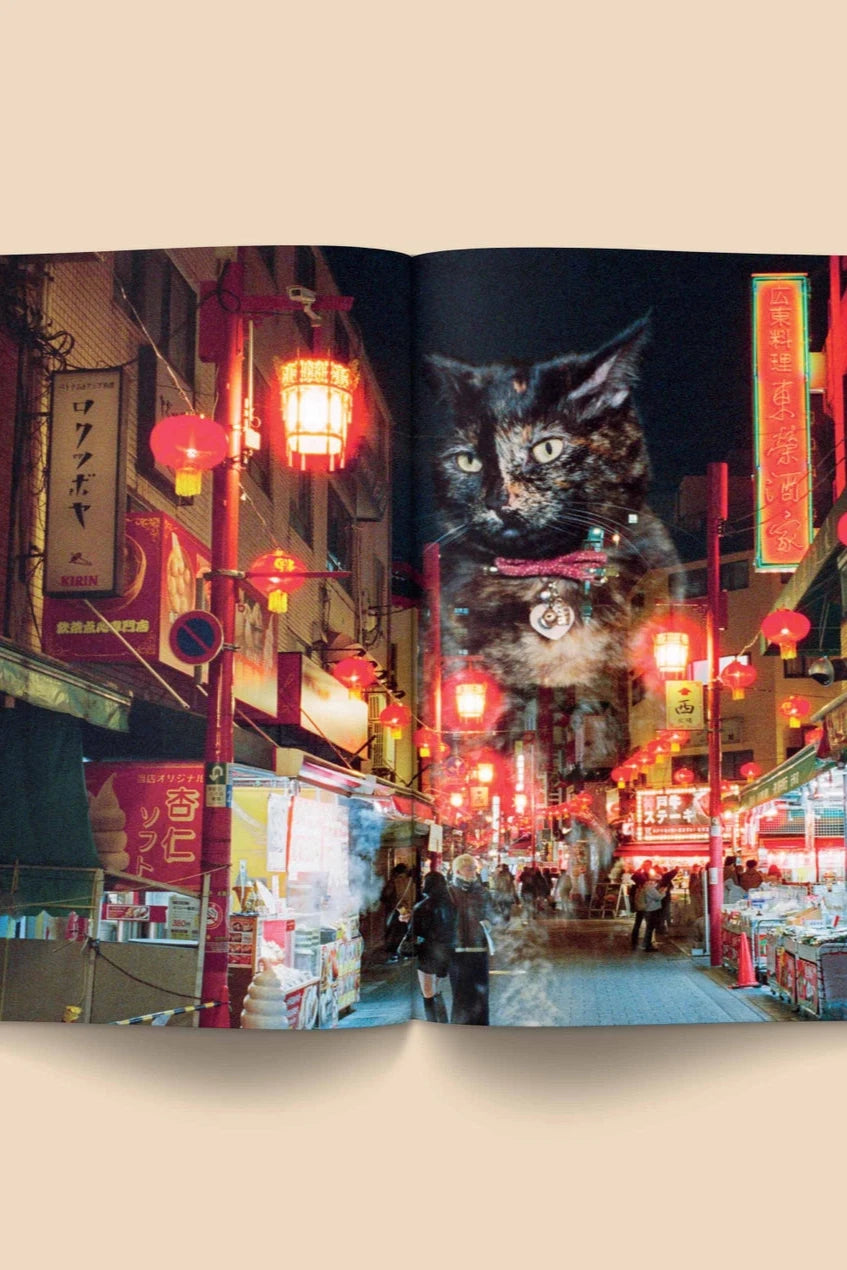 Catnip Magazine showing an open page with a cat overlooking a bright city by Broccoli.