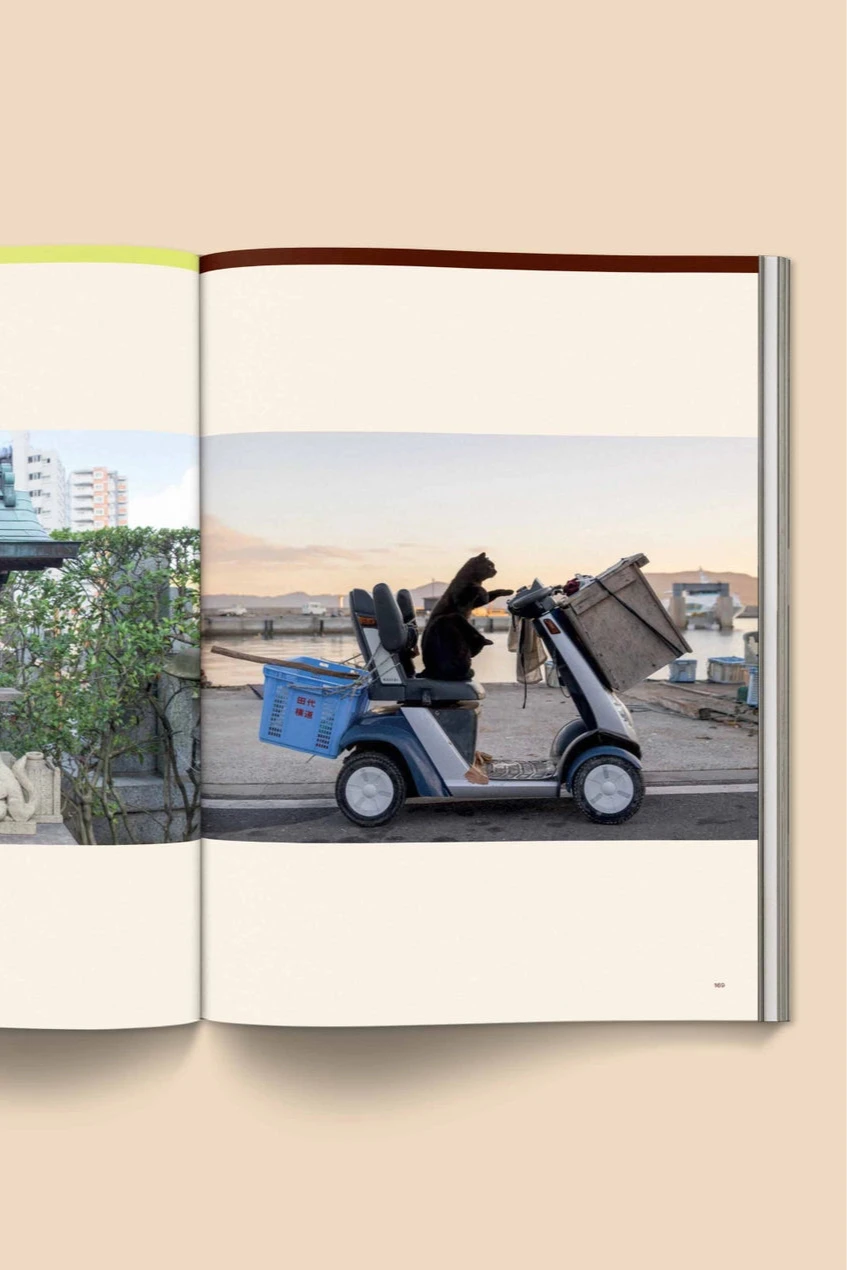 Catnip Magazine showing a page of the interior with a cat driving a moped by Broccoli.