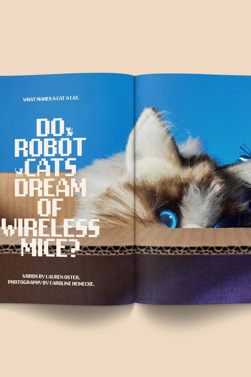 Catnip Magazine showing a page of the interior by Broccoli.